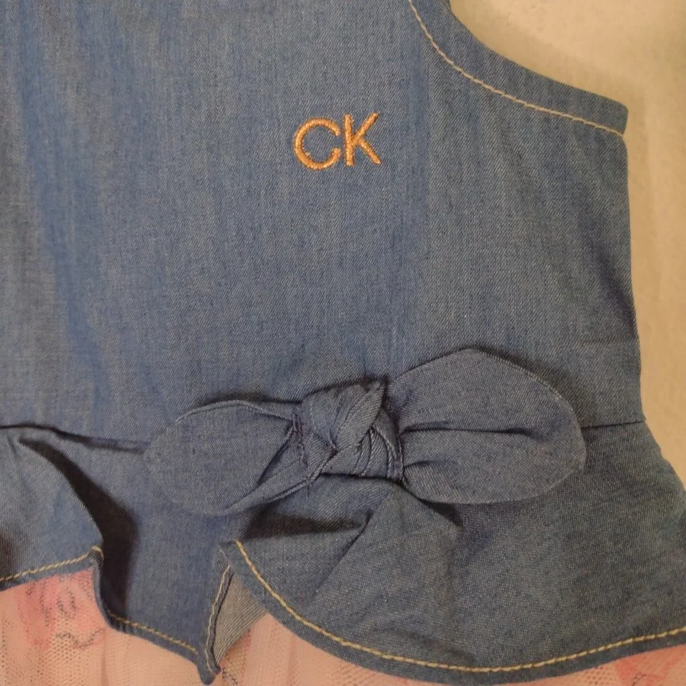 NWT Calvin Klein Baby Pink/Floral Dress Size 12M